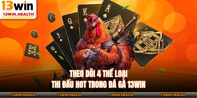 Theo dõi 4 thể loại thi đấu hot trong đá gà 13WIN